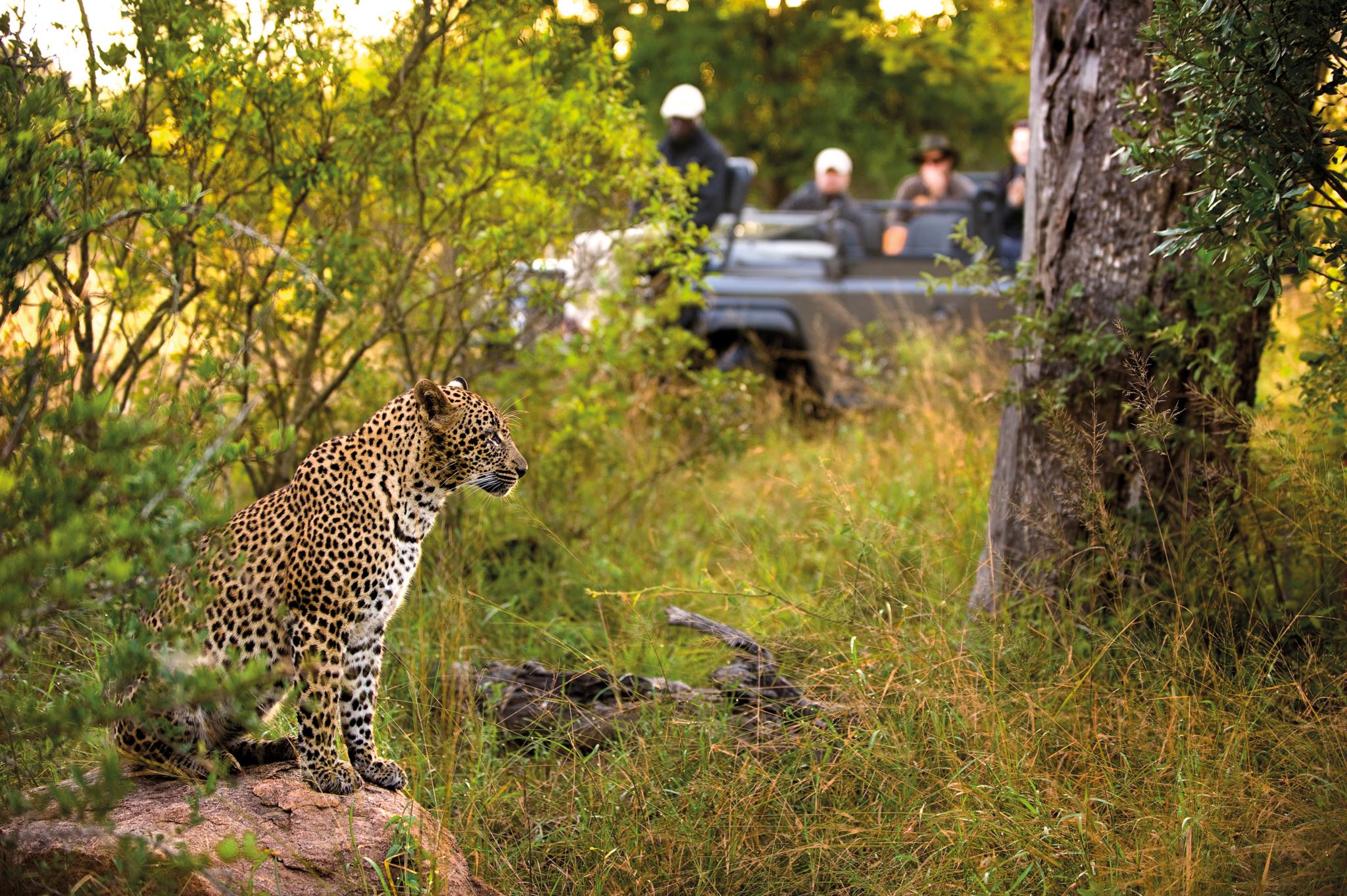 Lion Sands Narina Lodge Заповідник Сабі-Санд Екстер'єр фото
